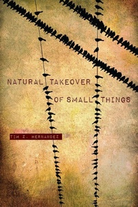 Enlarge image Cover: Natural Takeover of Small Things - University of Arizona Press