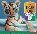Cover: A Tiger Cub Grows Up - Lerner Publishing Group