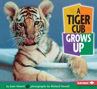 Enlarge image Cover: A Tiger Cub Grows Up - Lerner Publishing Group
