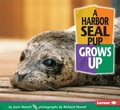 Cover: A Harbor Seal Pup Grows Up - Lerner Publishing Group