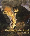 Cover: Flowers by the Road - Templar Poetry