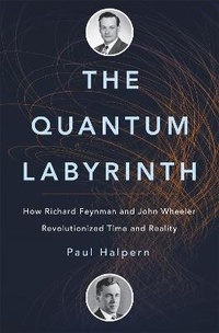 Enlarge image Cover: The Quantum Labyrinth - Basic Books