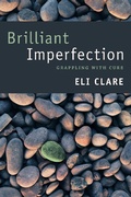 Cover: Brilliant Imperfection - De Gruyter