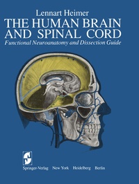 Abbildung von: The Human Brain and Spinal Cord - Springer