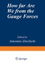Cover: How Far Are We from the Gauge Forces - Springer