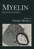 Bild: Myelin - Springer