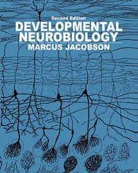 Abbildung von: Developmental Neurobiology - Springer