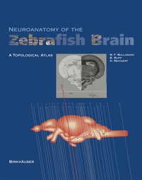 Abbildung von: Neuroanatomy of the Zebrafish Brain - Birkhäuser