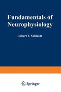 Bild: Fundamentals of Neurophysiology - Springer