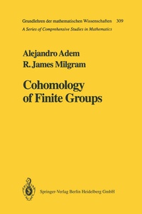 Abbildung von: Cohomology of Finite Groups - Springer