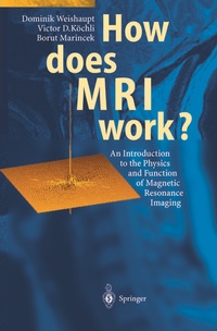 Abbildung von: How does MRI work? - Springer