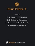 Bild: Brain Edema X - Springer
