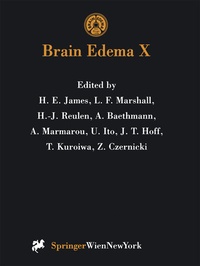 Bild: Brain Edema X - Springer