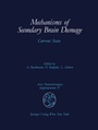 Cover: Mechanisms of Secondary Brain Damage - Springer