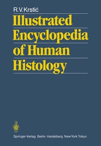 Abbildung von: Illustrated Encyclopedia of Human Histology - Springer