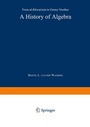 Cover: A History of Algebra - Springer