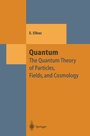 Cover: Quantum - Springer