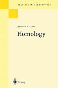 Enlarge image Cover: Homology - Springer