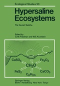 Cover: Hypersaline Ecosystems - Springer