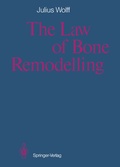 Cover: The Law of Bone Remodelling - Springer