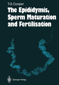 Abbildung von: The Epididymis, Sperm Maturation and Fertilisation - Springer