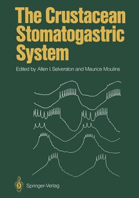 Abbildung von: The Crustacean Stomatogastric System - Springer