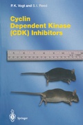 Cover: Cyclin Dependent Kinase (CDK) Inhibitors - Springer