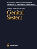 Cover: Genital System - Springer