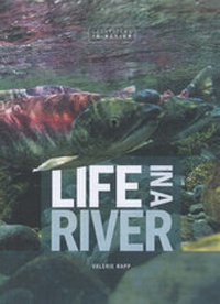 Enlarge image Cover: Life In A River - Lerner Publishing Group