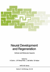 Abbildung von: Neural Development and Regeneration - Springer