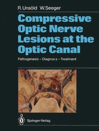 Bild: Compressive Optic Nerve Lesions at the Optic Canal - Springer