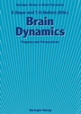 Cover: Brain Dynamics - Springer
