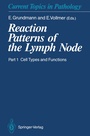 Cover: Reaction Patterns of the Lymph Node - Springer