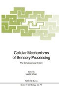 Cover: Cellular Mechanisms of Sensory Processing - Springer