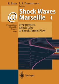 Abbildung von: Shock Waves @ Marseille I - Springer