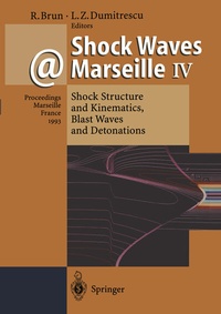 Abbildung von: Shock Waves @ Marseille IV - Springer