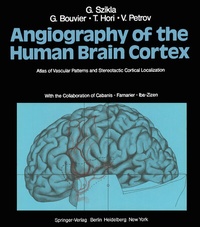 Bild: Angiography of the Human Brain Cortex - Springer