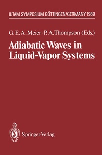 Abbildung von: Adiabatic Waves in Liquid-Vapor Systems - Springer