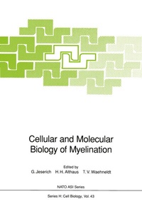 Abbildung von: Cellular and Molecular Biology of Myelination - Springer