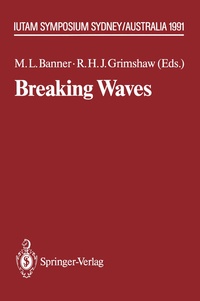 Abbildung von: Breaking Waves - Springer
