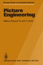 Cover: Picture Engineering - Springer