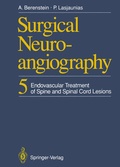 Bild: Surgical Neuroangiography - Springer
