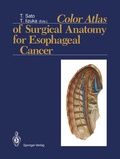 Bild: Color Atlas of Surgical Anatomy for Esophageal Cancer - Springer