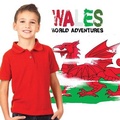 Cover: Wales - BookLife Publishing