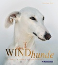 Cover: Windhunde - Cadmos Verlag