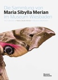 Cover: Die Sammlung von Maria Sibylla Merian im Museum Wiesbaden - Museum Wiesbaden