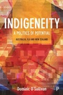 Cover: Indigeneity: A Politics of Potential - Policy Press