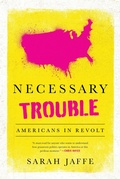 Cover: Necessary Trouble - Nation Books