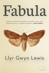 Enlarge image Cover: Fabula - Y Lolfa