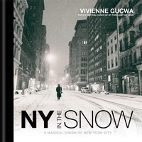 Abbildung von: New York In The Snow - Ilex